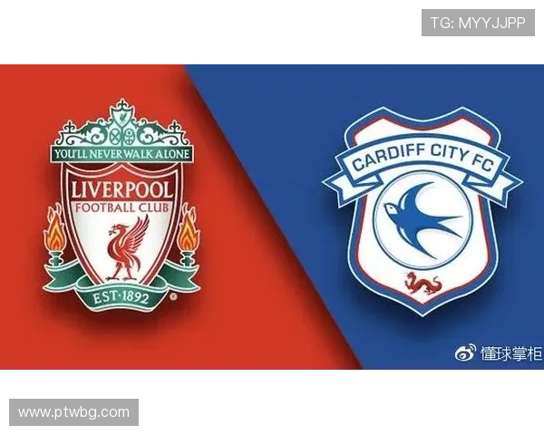 卡迪夫城俱乐部发展历程与未来展望：从传奇辉煌到重回英超的挑战与机遇