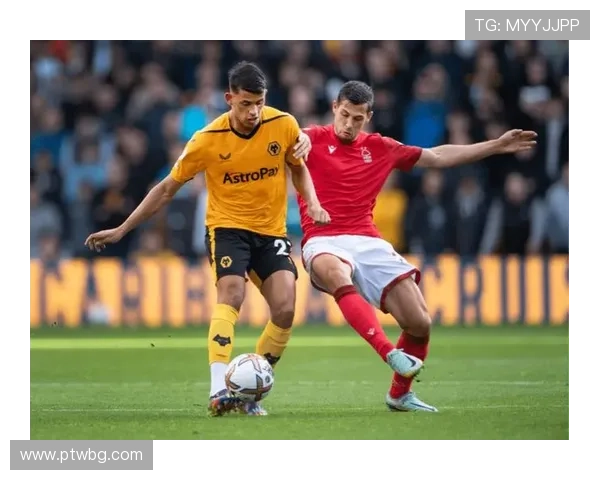 诺丁汉森林足球俱乐部历史沿革与辉煌成就分析